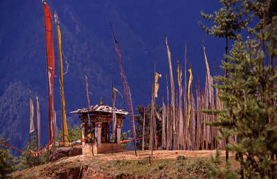 Prayer Flags High in a Himalayan Pass