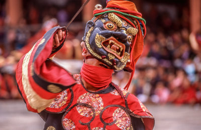 Colorful Festival Dancer