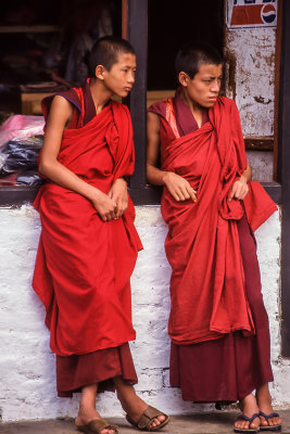 Young Monks at Wangdi Dzong