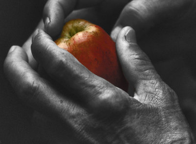 Apple in Monk's Hands