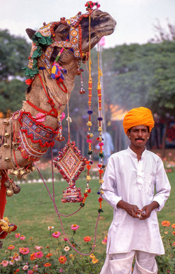 Camel and Owner all Decked Out