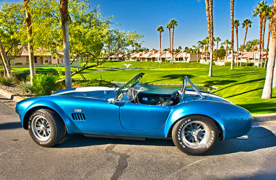 Cobra in Palm Springs