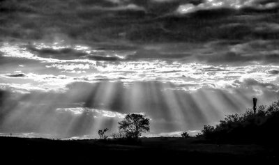 God Rays over the Mara Plains