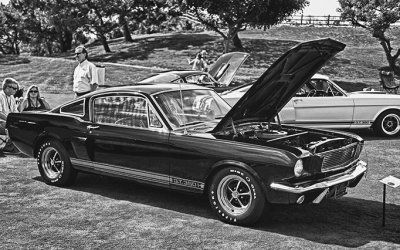 Mustang GT 350