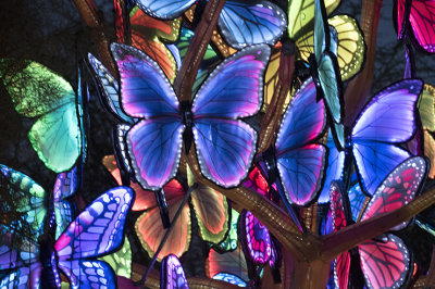 Butterfly Tree Detail
