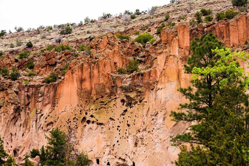 Canyon Wall