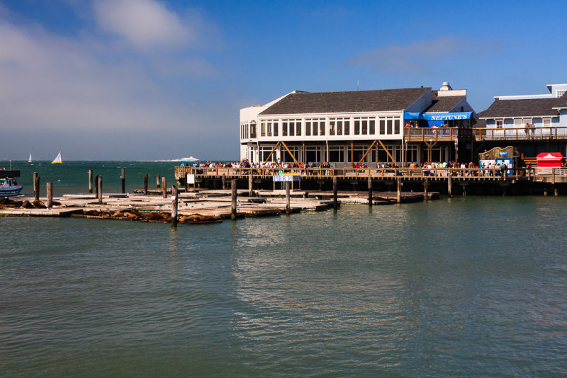 Pier 39 and Sea Lions