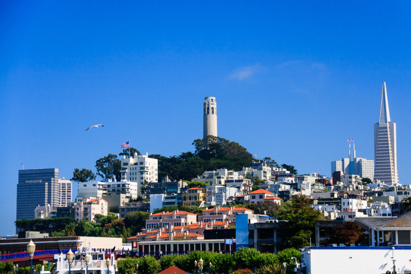 Telegraph Hill with Coit Tower and Transamerica Pyramid