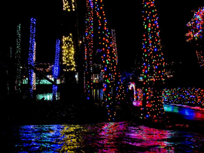 Christmas Lights At Lafarge Lake
