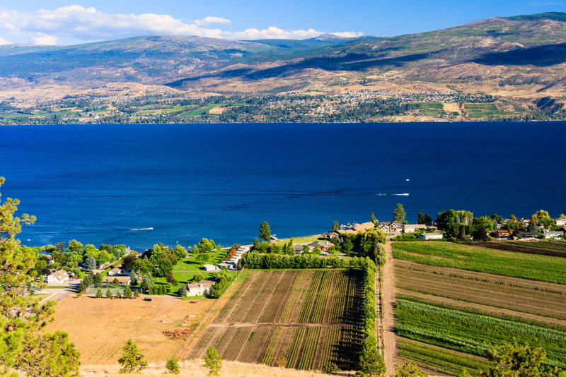 Lake Okanagan From Mission Hill Winery