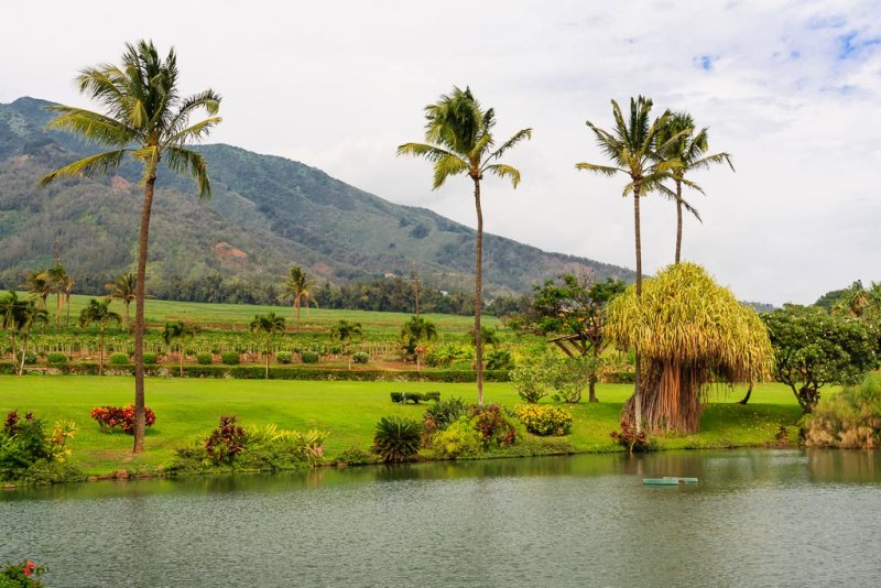 Maui Tropical Plant'nation