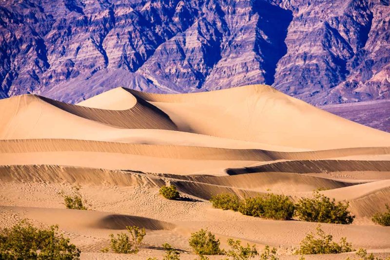 Mesquite Flat Sand Dunes, 14 square miles of dunes.