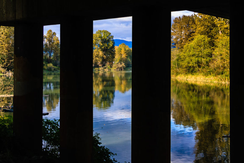 Columns of Hwy Overpass