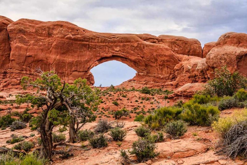 North Window Arch