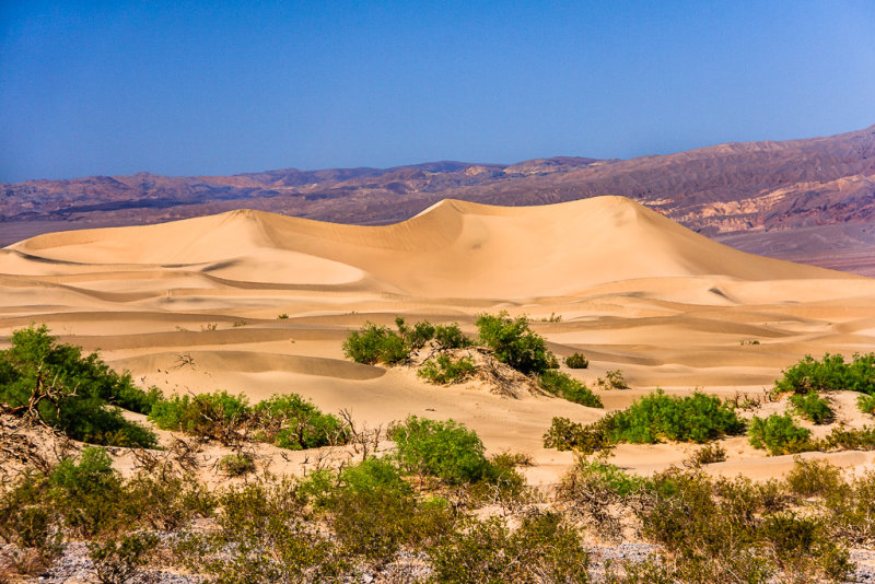 Mequite Flat Sand Dunes - 14 square miles of dunes