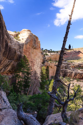 Trail to Kachina Bridge