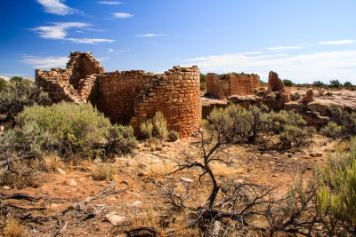 Hovenweep Castle