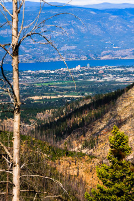 City Of Kelowna From Myra Canyon