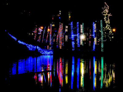 Christmas Lights At Lafarge Lake