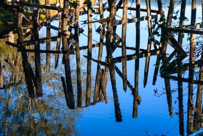 Old Rail Trestle