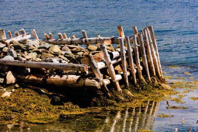 Woody Point / Boone Bay, Newfoundland