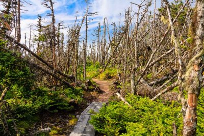 Skerwink Trail, East Trinity, Newfoundland