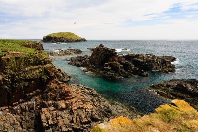 Elliston, Newfoundland