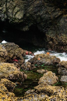 Cannon Beach, Oregon