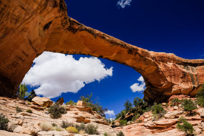 Natural Bridges National Monument, Utah