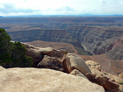 Ross Rapid from Muley Point 700 pxl 1.jpg