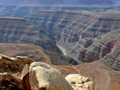 Ross Rapid from Muley Point 700 pxl 2.jpg