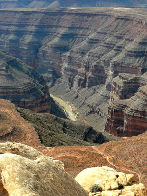 Ross Rapid from Muley Point 700 pxl 3.jpg