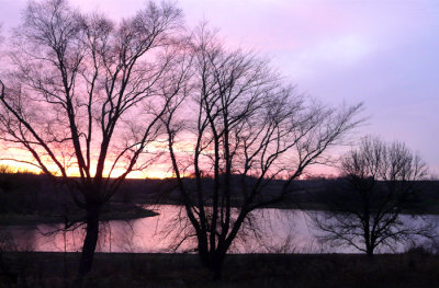 pond after ice out.jpg