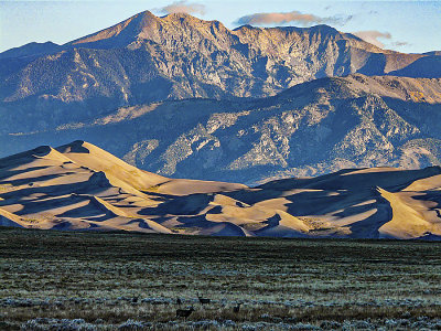 Grt Sand Dunes NP sunrise w muldeer 1100pxl___P1020375-2.jpg