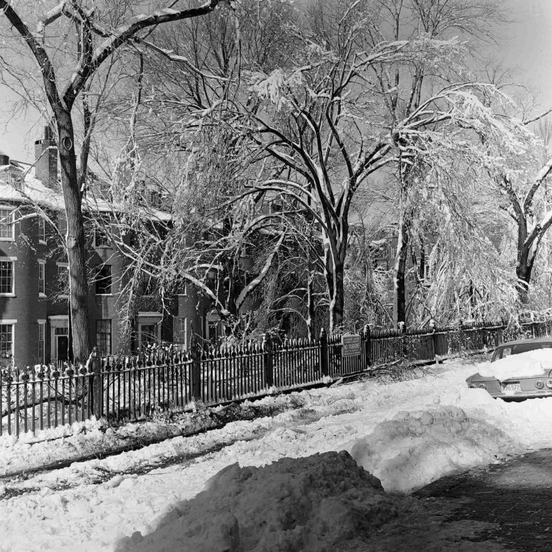 Beacon Hill Snow