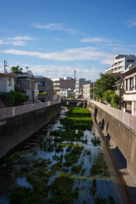 Zenpukuji River - 1