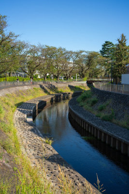 Zenpukuji River - 3
