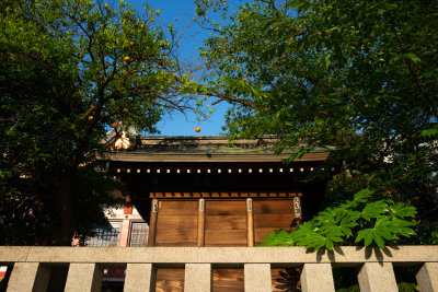 Temple with Oranges