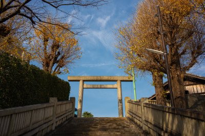 Higawa Shrine 3