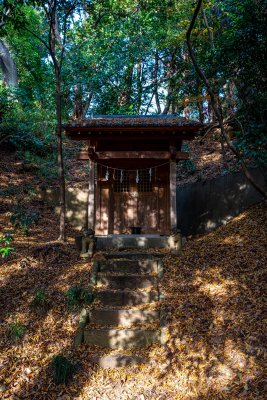 Todai Botanical Garden Trees - Shrine