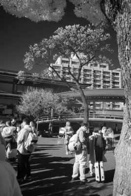 Folks mulling about at Yujima Tenjin