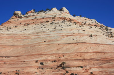 Sandstone Cliffs