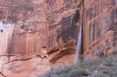 Behunin Canyon
