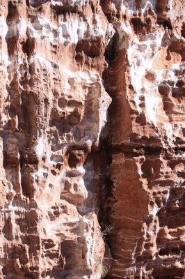 Limestone
