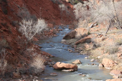 Northfork Virgin River
