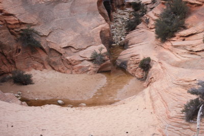 Desert Stream