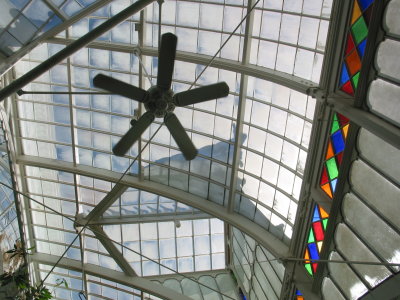 Indoor Victorian Ceiling