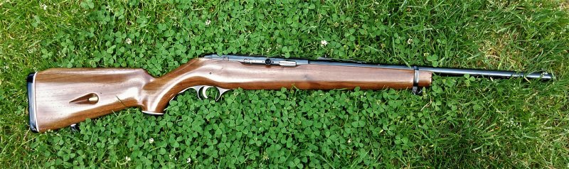 Mossberg 351C Semi-auto 22lr