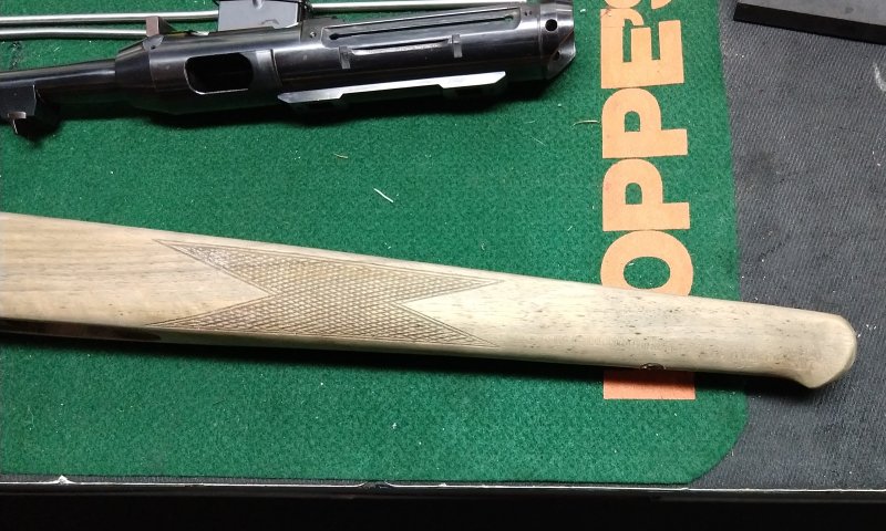 IMG_20200130_143409245.jpg