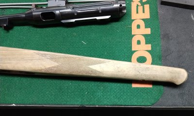 IMG_20200130_143409245.jpg